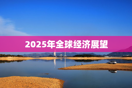 2025年全球经济展望