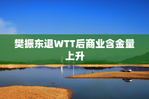 樊振东退WTT后商业含金量上升