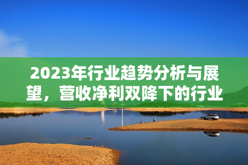 2023年行业趋势分析与展望，营收净利双降下的行业趋势探讨