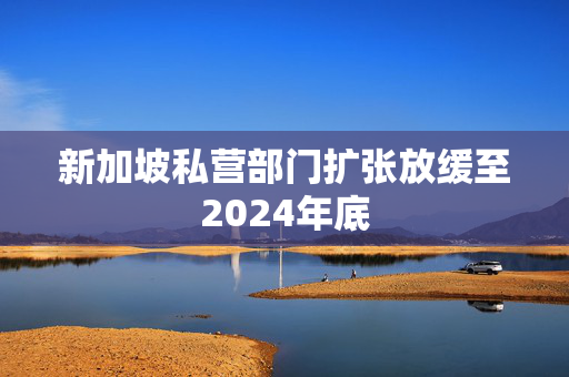 新加坡私营部门扩张放缓至2024年底