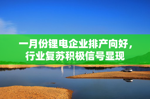 一月份锂电企业排产向好，行业复苏积极信号显现