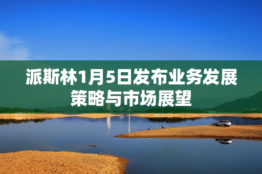 派斯林1月5日发布业务发展策略与市场展望