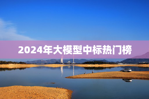 2024年大模型中标热门榜