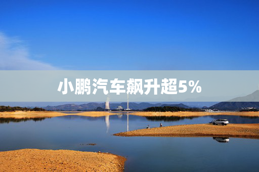 小鹏汽车飙升超5%