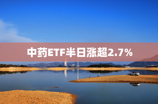 中药ETF半日涨超2.7%