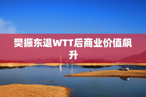 樊振东退WTT后商业价值飙升