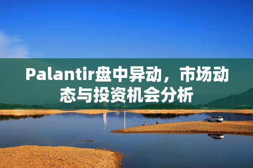 Palantir盘中异动，市场动态与投资机会分析