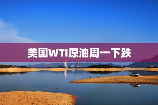 美国WTI原油周一下跌