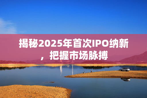 揭秘2025年首次IPO纳新，把握市场脉搏