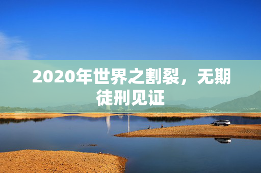 2020年世界之割裂，无期徒刑见证