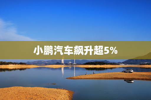 小鹏汽车飙升超5%