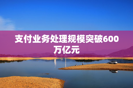 支付业务处理规模突破600万亿元