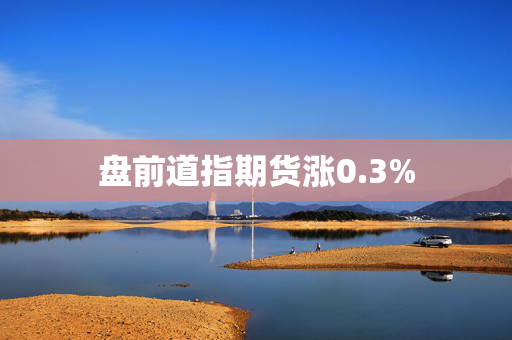 盘前道指期货涨0.3%