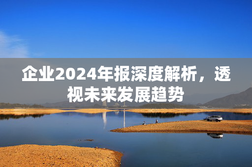 企业2024年报深度解析，透视未来发展趋势