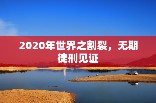 2020年世界之割裂，无期徒刑见证