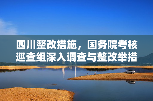 四川整改措施，国务院考核巡查组深入调查与整改举措