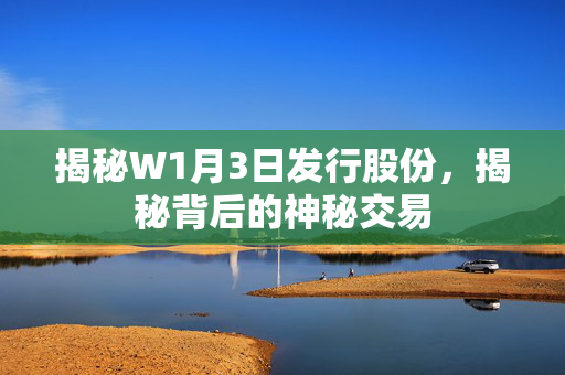 揭秘W1月3日发行股份，揭秘背后的神秘交易