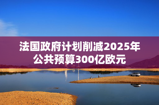 法国政府计划削减2025年公共预算300亿欧元