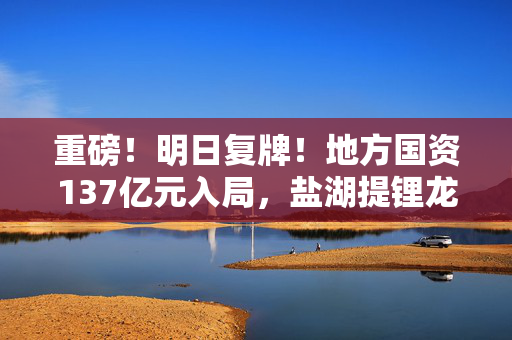 重磅！明日复牌！地方国资137亿元入局，盐湖提锂龙头易主