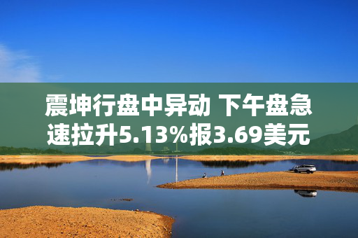 震坤行盘中异动 下午盘急速拉升5.13%报3.69美元