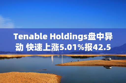 Tenable Holdings盘中异动 快速上涨5.01%报42.55美元