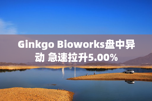 Ginkgo Bioworks盘中异动 急速拉升5.00%