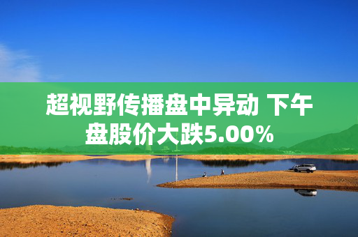 超视野传播盘中异动 下午盘股价大跌5.00%