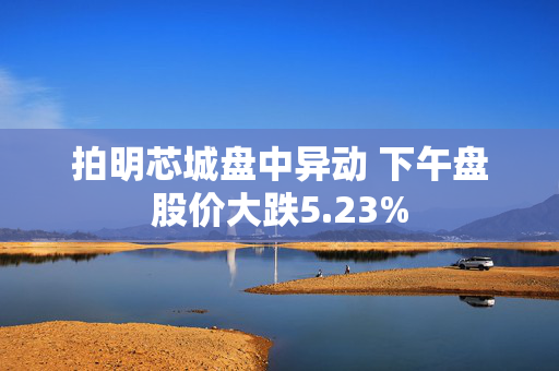 拍明芯城盘中异动 下午盘股价大跌5.23%