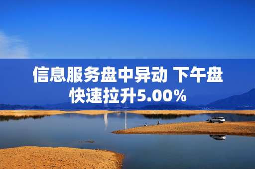 信息服务盘中异动 下午盘快速拉升5.00%