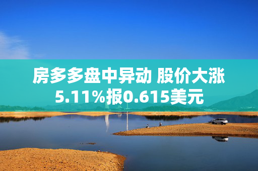 房多多盘中异动 股价大涨5.11%报0.615美元