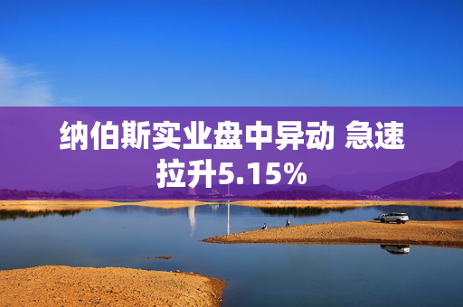 纳伯斯实业盘中异动 急速拉升5.15%