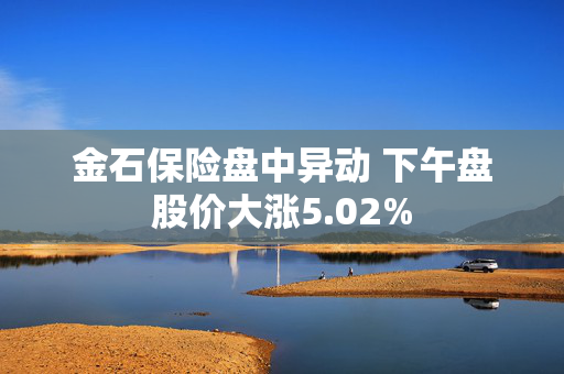 金石保险盘中异动 下午盘股价大涨5.02%