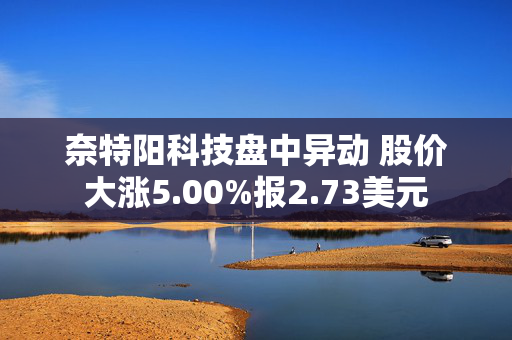 奈特阳科技盘中异动 股价大涨5.00%报2.73美元