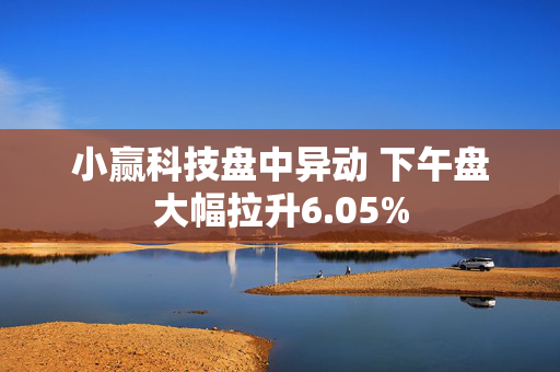 小赢科技盘中异动 下午盘大幅拉升6.05%