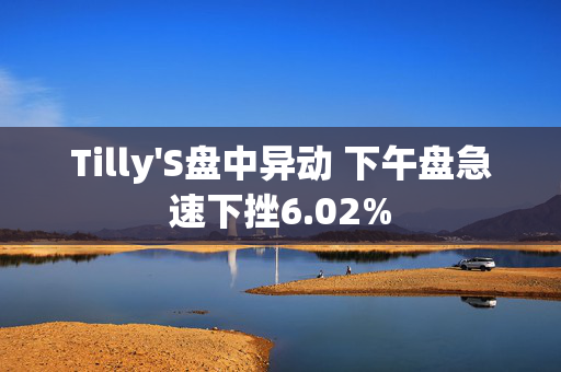 Tilly'S盘中异动 下午盘急速下挫6.02%