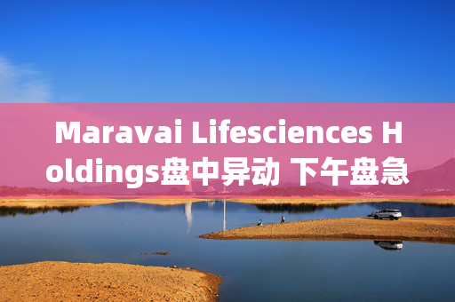 Maravai Lifesciences Holdings盘中异动 下午盘急速上涨5.03%报4.80美元