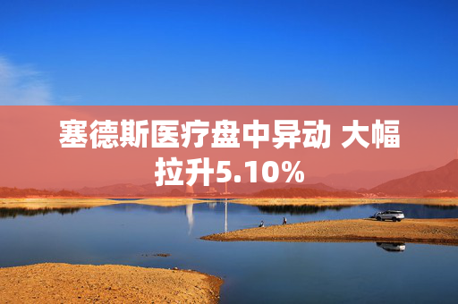 塞德斯医疗盘中异动 大幅拉升5.10%