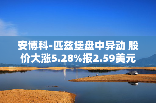 安博科-匹兹堡盘中异动 股价大涨5.28%报2.59美元