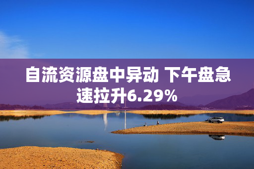 自流资源盘中异动 下午盘急速拉升6.29%