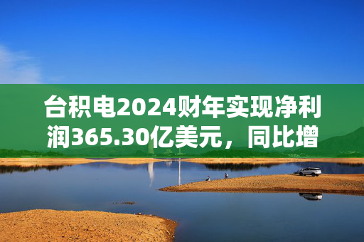 台积电2024财年实现净利润365.30亿美元，同比增加35.80%