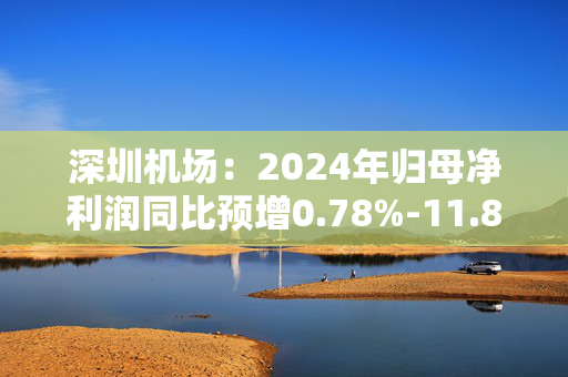 深圳机场：2024年归母净利润同比预增0.78%-11.88%