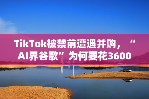 TikTok被禁前遭遇并购，“AI界谷歌”为何要花3600亿买它？