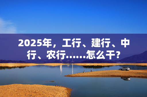 2025年，工行、建行、中行、农行……怎么干？