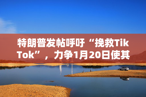 特朗普发帖呼吁“挽救TikTok”，力争1月20日使其重新上线