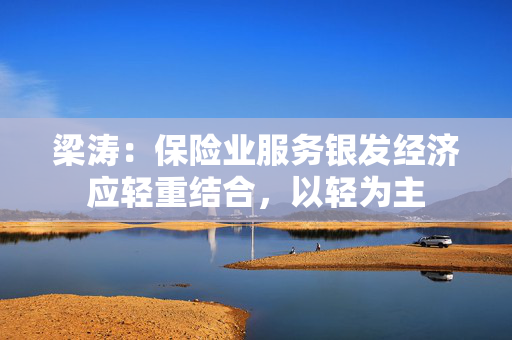 梁涛：保险业服务银发经济应轻重结合，以轻为主