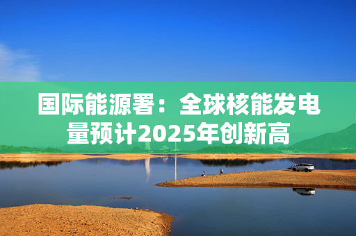 国际能源署：全球核能发电量预计2025年创新高