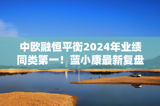 中欧融恒平衡2024年业绩同类第一！蓝小康最新复盘与展望来了