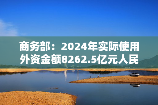 商务部：2024年实际使用外资金额8262.5亿元人民币