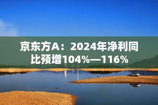 京东方A：2024年净利同比预增104%—116%