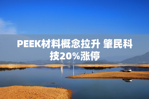 PEEK材料概念拉升 肇民科技20%涨停